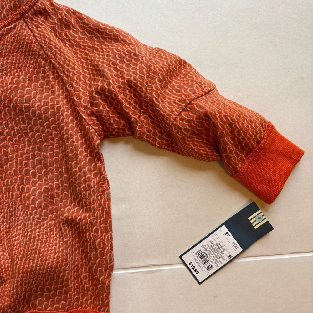 Oshkosh Kids lizard‎ Hoodie zip up nwt sz 2t